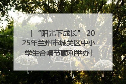 “阳光下成长” 2025年兰州市城关区中小学生合唱节顺利举办