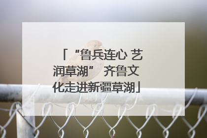 “鲁兵连心 艺润草湖” 齐鲁文化走进新疆草湖