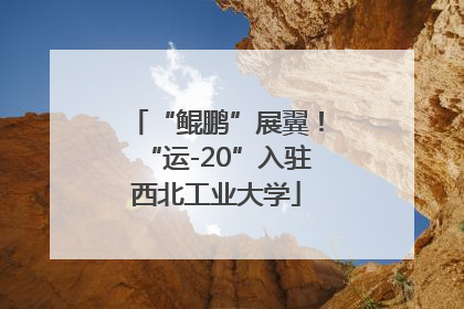 “鲲鹏”展翼！“运-20”入驻西北工业大学