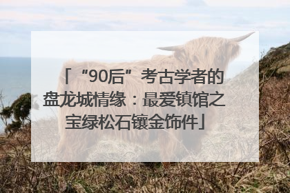 “90后”考古学者的盘龙城情缘：最爱镇馆之宝绿松石镶金饰件