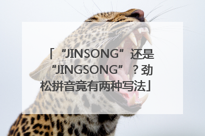 “JINSONG”还是“JINGSONG”？劲松拼音竟有两种写法