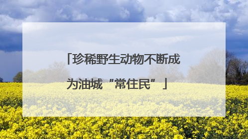 珍稀野生动物不断成为油城“常住民”