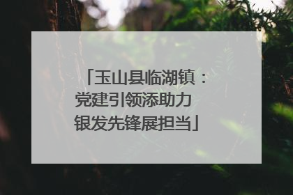 玉山县临湖镇：党建引领添助力 银发先锋展担当