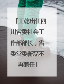 王乾出任四川省委社会工作部部长，省委常委靳磊不再兼任