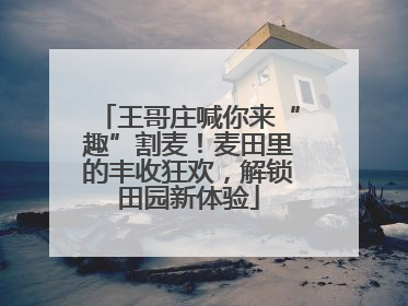 王哥庄喊你来“趣”割麦！麦田里的丰收狂欢，解锁田园新体验