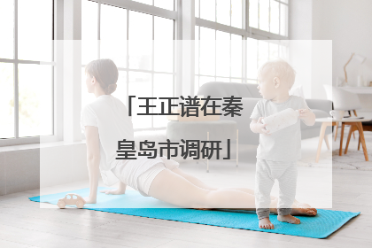 王正谱在秦皇岛市调研