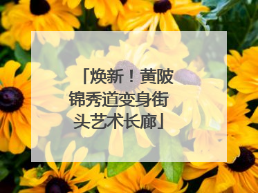 焕新！黄陂锦秀道变身街头艺术长廊