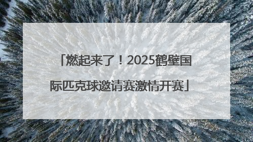 燃起来了！2025鹤壁国际匹克球邀请赛激情开赛