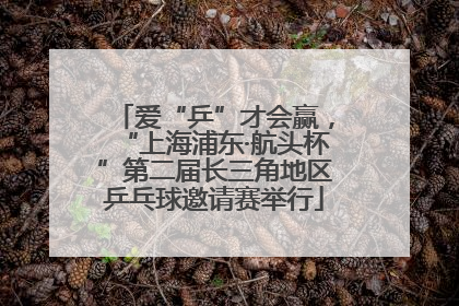 爱“乒”才会赢，“上海浦东·航头杯”第二届长三角地区乒乓球邀请赛举行