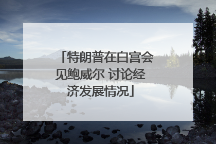 特朗普在白宫会见鲍威尔 讨论经济发展情况
