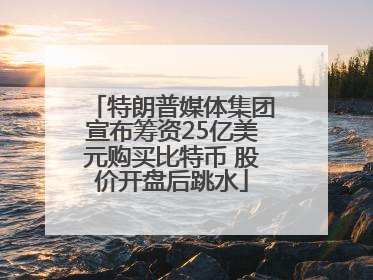 特朗普媒体集团宣布筹资25亿美元购买比特币 股价开盘后跳水