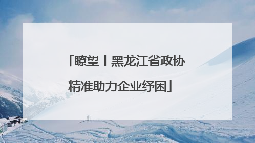 瞭望丨黑龙江省政协精准助力企业纾困