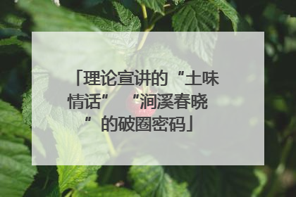 理论宣讲的“土味情话” “涧溪春晓”的破圈密码