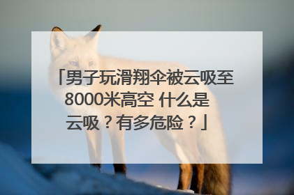 男子玩滑翔伞被云吸至8000米高空 什么是云吸？有多危险？