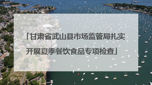 甘肃省武山县市场监管局扎实开展夏季餐饮食品专项检查
