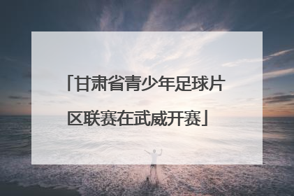 甘肃省青少年足球片区联赛在武威开赛