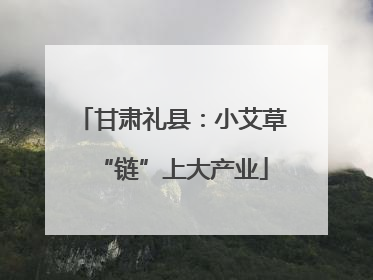 甘肃礼县：小艾草“链”上大产业