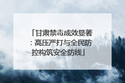 甘肃禁毒成效显著：高压严打与全民防控构筑安全防线