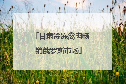 甘肃冷冻禽肉畅销俄罗斯市场