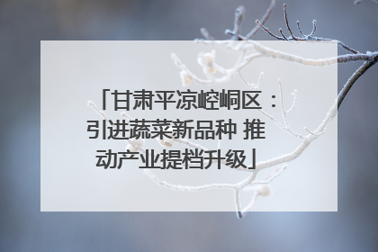 甘肃平凉崆峒区：引进蔬菜新品种 推动产业提档升级
