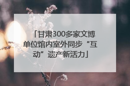 甘肃300多家文博单位馆内室外同步“互动”遗产新活力