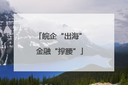皖企“出海” 金融“撑腰”