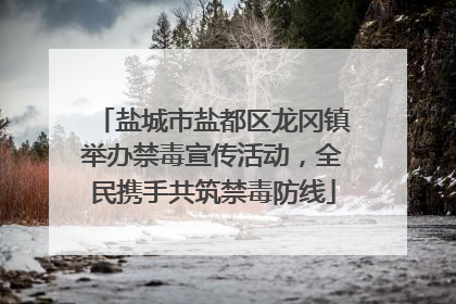 盐城市盐都区龙冈镇举办禁毒宣传活动，全民携手共筑禁毒防线