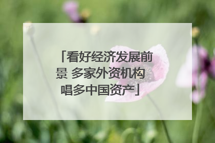 看好经济发展前景 多家外资机构唱多中国资产