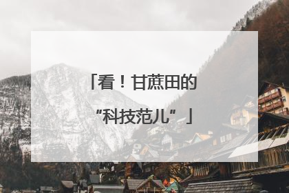 看！甘蔗田的“科技范儿”