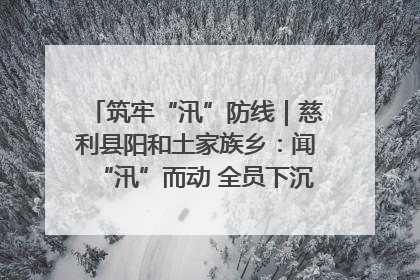 筑牢“汛”防线｜慈利县阳和土家族乡：闻“汛”而动 全员下沉筑牢防汛“安全堤”