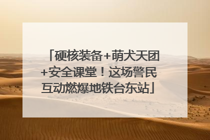 硬核装备+萌犬天团+安全课堂！这场警民互动燃爆地铁台东站