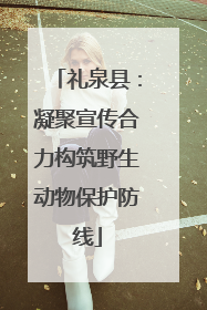 礼泉县：凝聚宣传合力构筑野生动物保护防线