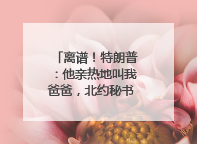 离谱！特朗普：他亲热地叫我爸爸，北约秘书长：我没有