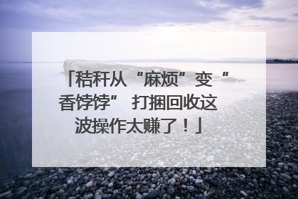 秸秆从“麻烦”变“香饽饽” 打捆回收这波操作太赚了！