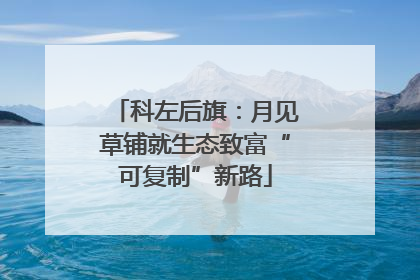 科左后旗：月见草铺就生态致富“可复制”新路