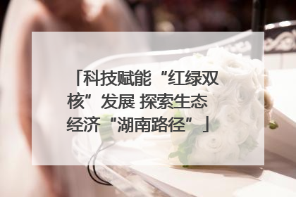 科技赋能“红绿双核”发展 探索生态经济“湖南路径”
