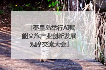 秦皇岛举行AI赋能文旅产业创新发展观摩交流大会