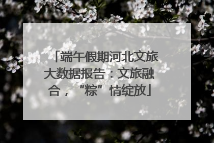 端午假期河北文旅大数据报告：文旅融合，“粽”情绽放