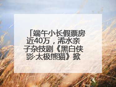 端午小长假票房近40万，浠水亲子杂技剧《黑白侠影·太极熊猫》掀起观演热潮