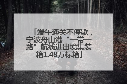 端午通关不停歇，宁波舟山港“一带一路”航线进出境集装箱1.48万标箱