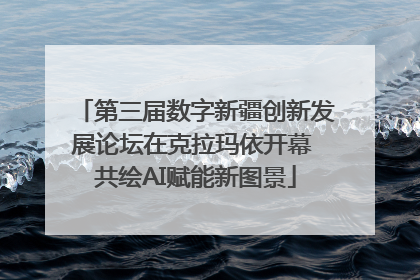 第三届数字新疆创新发展论坛在克拉玛依开幕 共绘AI赋能新图景