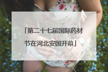 第二十七届国际药材节在河北安国开幕