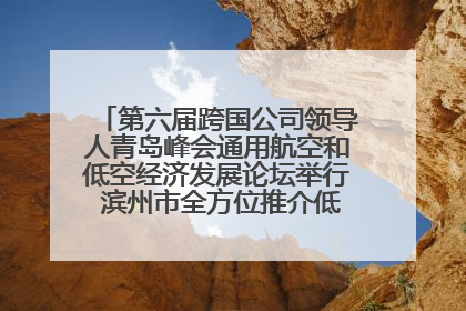 第六届跨国公司领导人青岛峰会通用航空和低空经济发展论坛举行 滨州市全方位推介低空经济发展优势