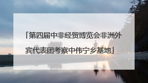 第四届中非经贸博览会非洲外宾代表团考察中伟宁乡基地
