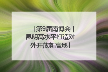 第9届南博会｜昆明高水平打造对外开放新高地