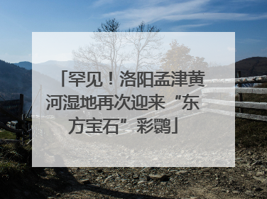 罕见！洛阳孟津黄河湿地再次迎来“东方宝石”彩鹮
