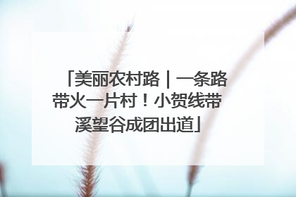美丽农村路｜一条路带火一片村！小贺线带溪望谷成团出道