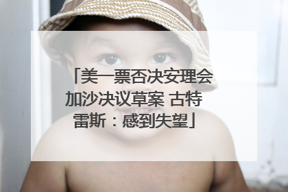 美一票否决安理会加沙决议草案 古特雷斯：感到失望