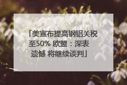 美宣布提高钢铝关税至50% 欧盟：深表遗憾 将继续谈判