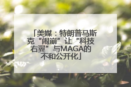 美媒：特朗普马斯克“闹崩”让“科技右翼”与MAGA的不和公开化